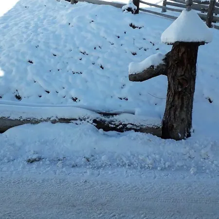 Puerstinghof 팜스테이 플라차우