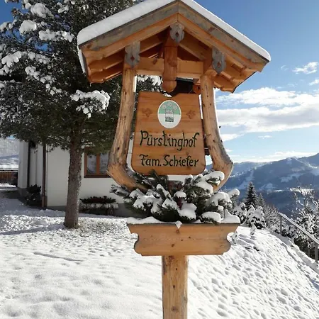 Puerstinghof 플라차우