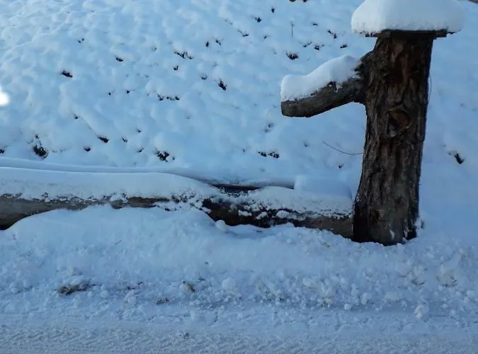 Pürstinghof Bauernhof Flachau